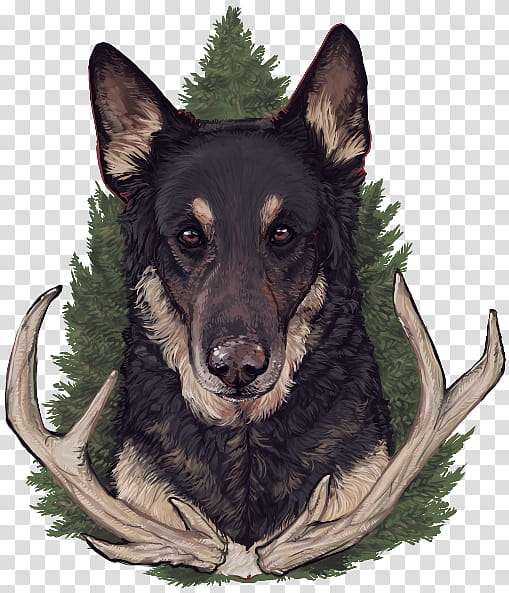 She Follows Me into the Woods transparent background PNG clipart