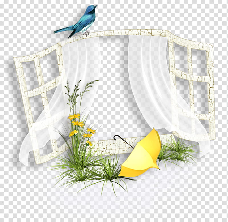 White Flower, Blog, Window, Frames, Painting, Fence, Yellow, Bird transparent background PNG clipart