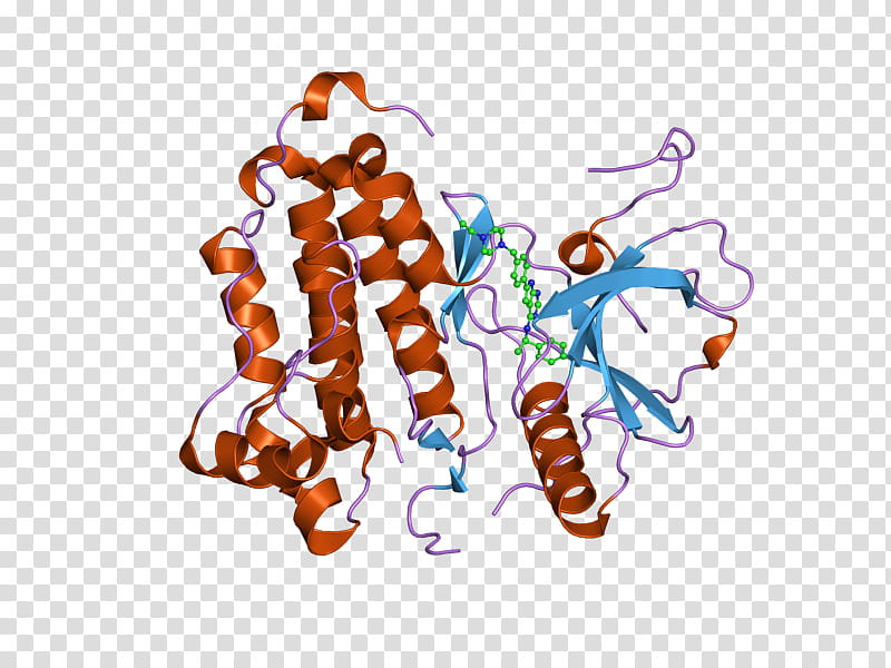 Epidermal Growth Factor Receptor Text, Receptor Tyrosine Kinase, Hepatocyte Growth Factor, Protein, Cmet, Cell Surface Receptor, Protein Kinase, Aee788 transparent background PNG clipart