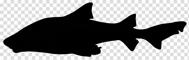 Dog And Cat, Whiskers, Kyoto Aquarium, Fish, Silhouette, Public Aquarium, Snout, Tail transparent background PNG clipart