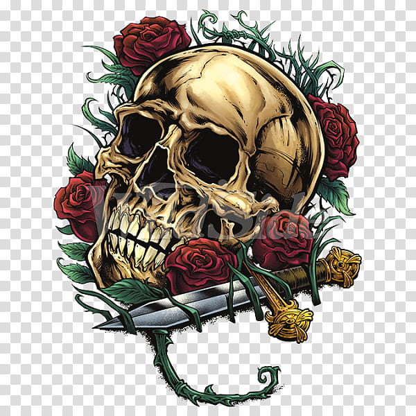 Human Skull Drawing, Rose, Calvaria, Bone, Calavera, Skeleton, Floral Design, Dagger transparent background PNG clipart
