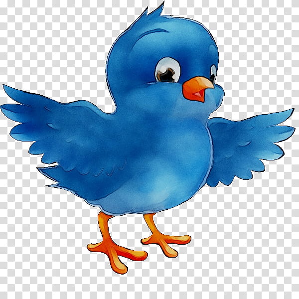 Bird Parrot, Eastern Bluebird, Bluebird Of Happiness, Bluebirds, Beak, Cartoon, Animation, Pigeons And Doves transparent background PNG clipart