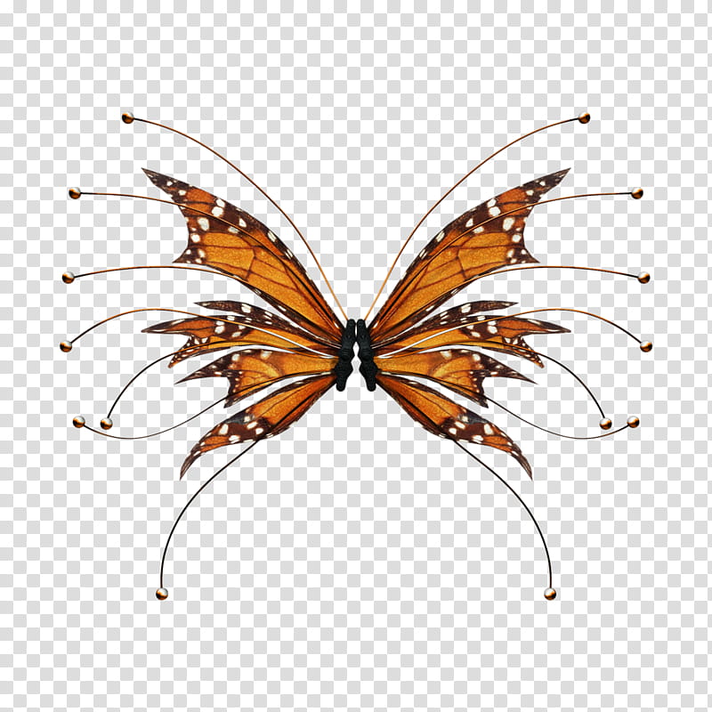 D Fae Wings , two orange and black butterflies art transparent background PNG clipart