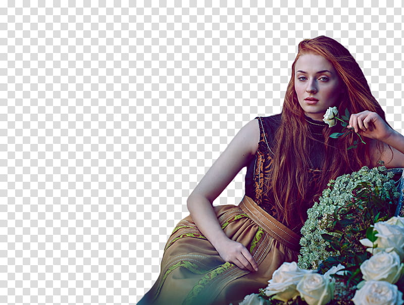 Sophie Turner transparent background PNG clipart