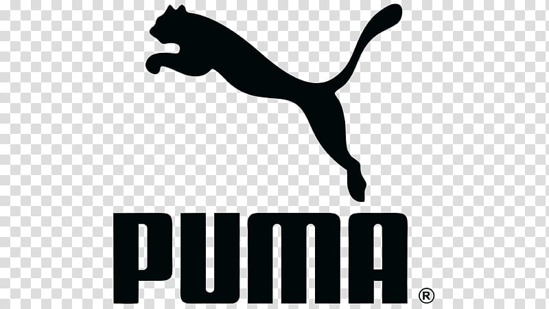 puma small