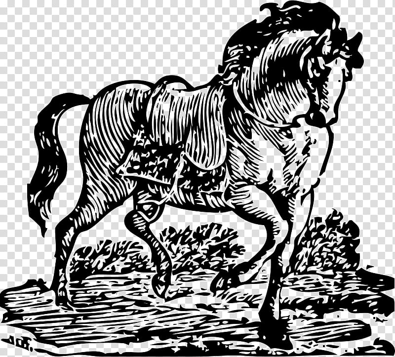 Horse Horse, Woodcut, Line Art, Drawing, cdr, Animal Figure, Blackandwhite, Mane transparent background PNG clipart