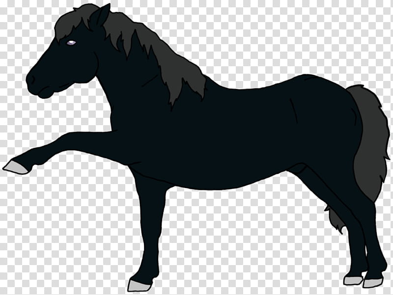 Horse, Pony, Mane, Silhouette, Shetland Pony, Animal Figure, Stallion, Mare transparent background PNG clipart