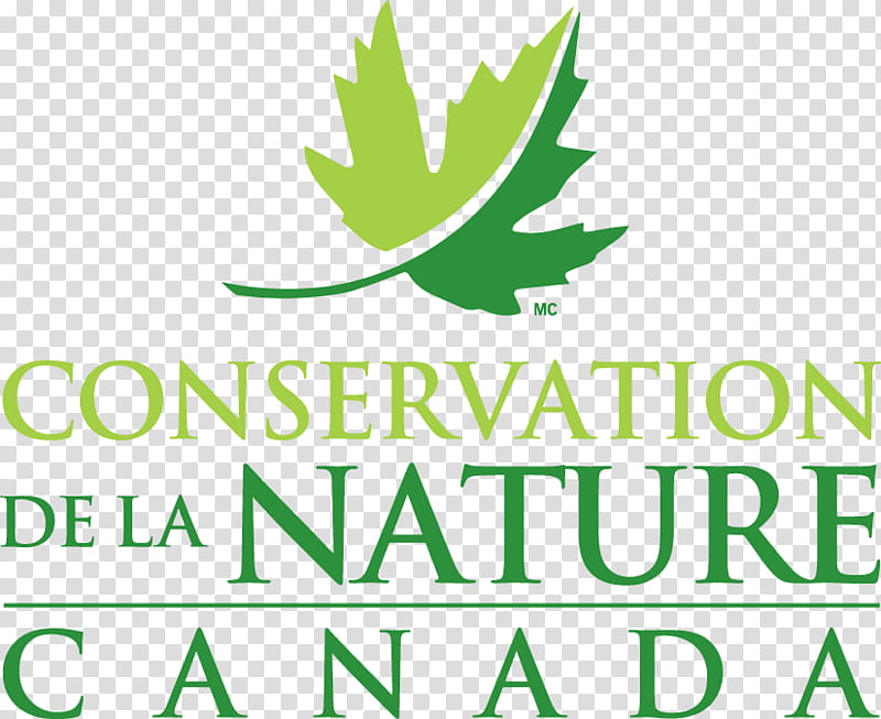 Cartoon Nature, Conservation, Nature Conservancy Of Canada, Logo, Natural Environment, Nature Reserve, Green, Leaf transparent background PNG clipart