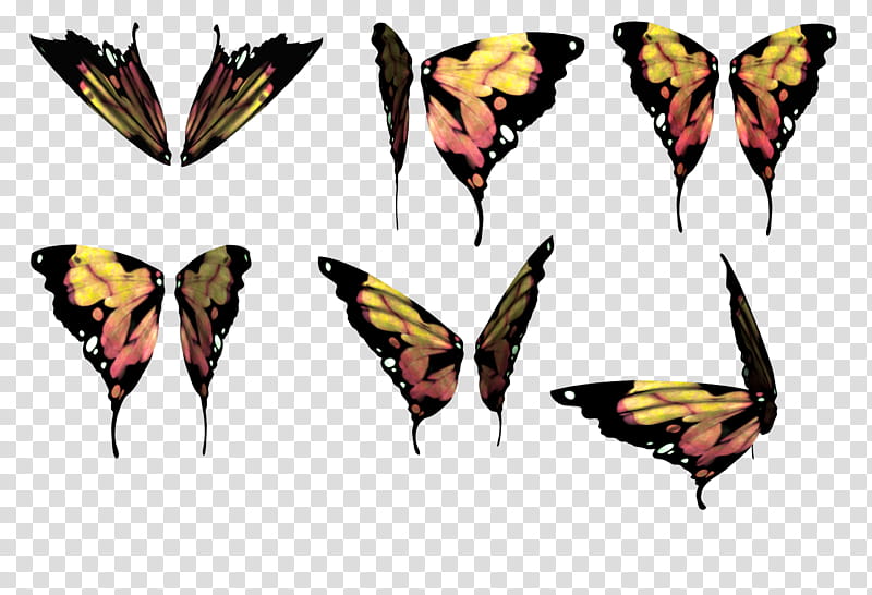 Daz Butterfly Wings  transparent background PNG clipart