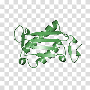 Green, Line transparent background PNG clipart thumbnail