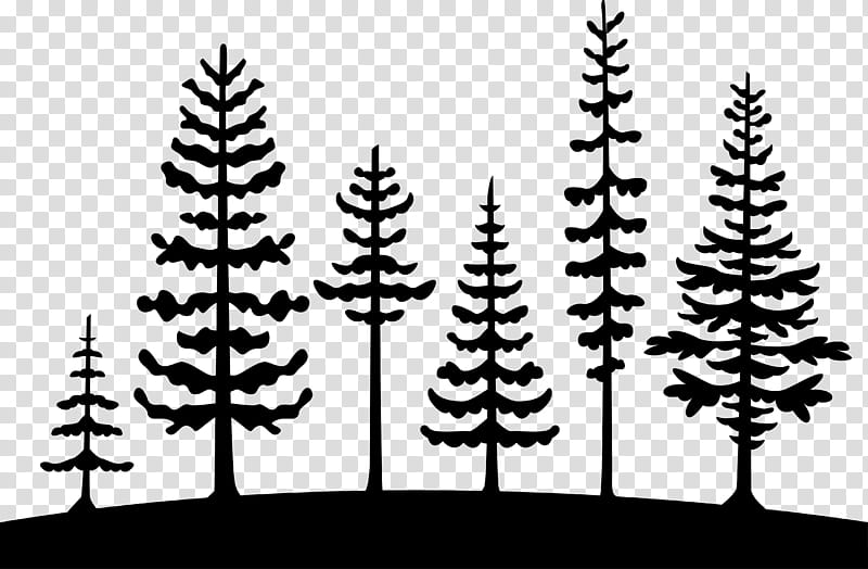 Christmas Black And White, Tree, Pine, Cedrus Libani, Arborvitae, Fir, Silhouette, Evergreen transparent background PNG clipart