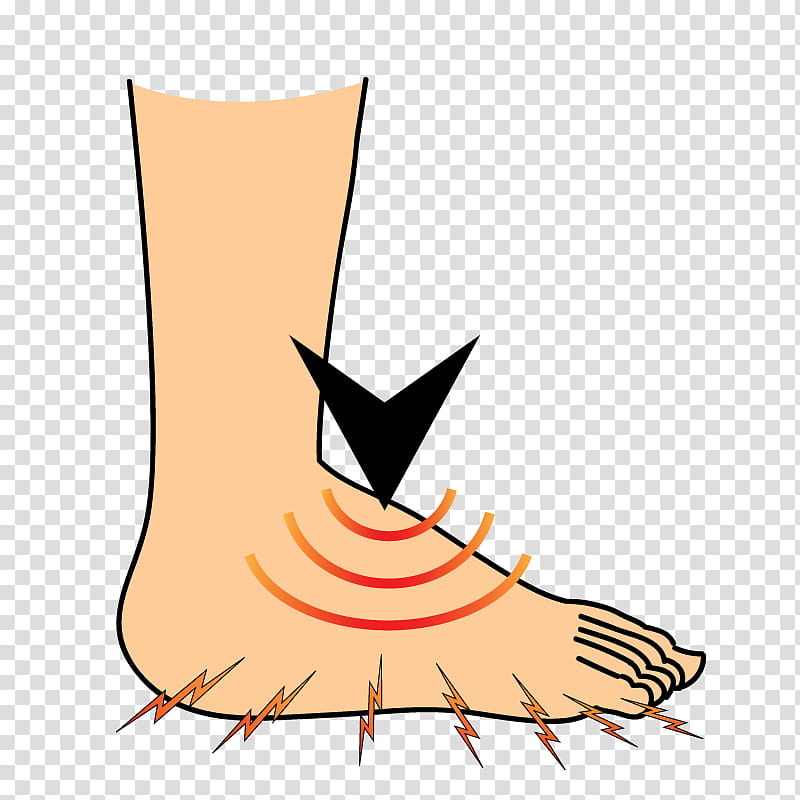 Orange, Shoe, Beak, Cartoon, Line, Tail, Meter, Human Leg transparent background PNG clipart