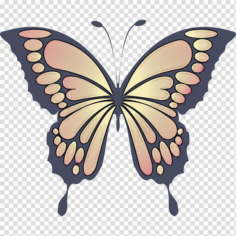 Monarch butterfly, Moths And Butterflies, Insect, Papilio Machaon, Pollinator, Swallowtail Butterfly, Brushfooted Butterfly transparent background PNG clipart