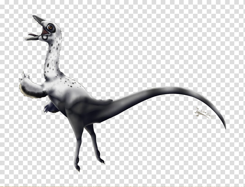 Velociraptor, Compsognathus, Dinosaur, Bird, Science, Garden, Foot, Paleozoology transparent background PNG clipart