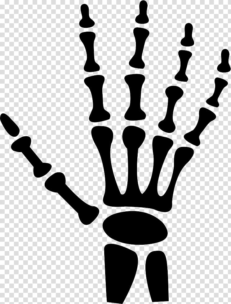 Hand Line, Carpal Bones, Human Skeleton, Human Body, Games, Recreation, Blackandwhite, Candle Holder transparent background PNG clipart