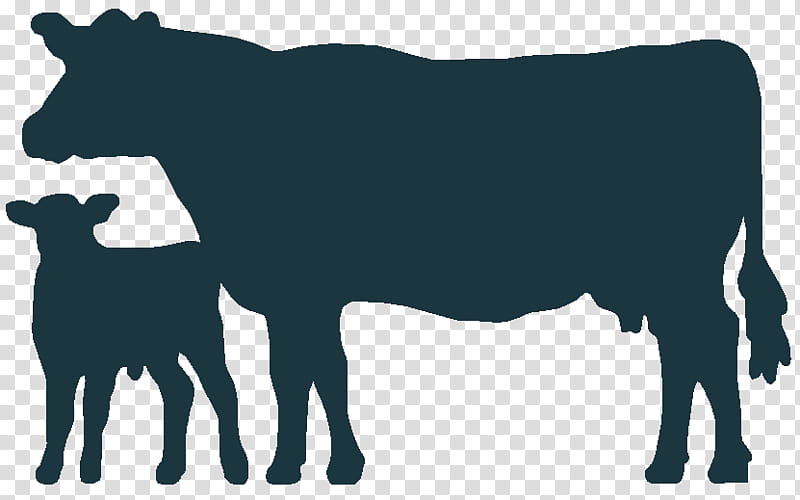 Family Silhouette, Angus Cattle, Welsh Black Cattle, Holstein Friesian Cattle, Calf, Beef Cattle, Dairy Cattle, Farm transparent background PNG clipart