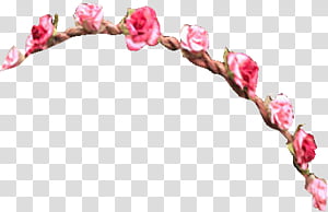 Resources transparent background PNG clipart thumbnail