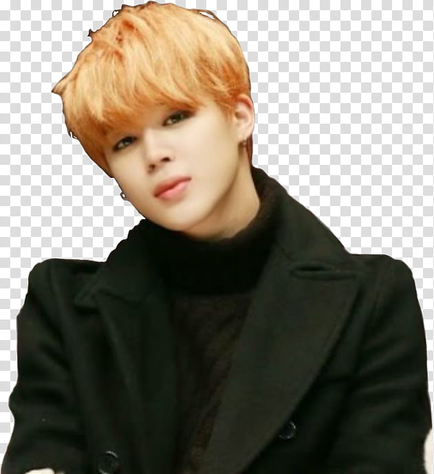 Bts Love Yourself, Kpop, I Like It, Blood Sweat Tears, Love Yourself Her, Im Fine, Jimin, Suga transparent background PNG clipart