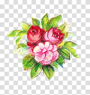 Watercolor Pink Flowers, Rose, Flower Bouquet, Floral Design, Artificial Flower, Garden Roses, Vintage Clothing, Petal transparent background PNG clipart thumbnail