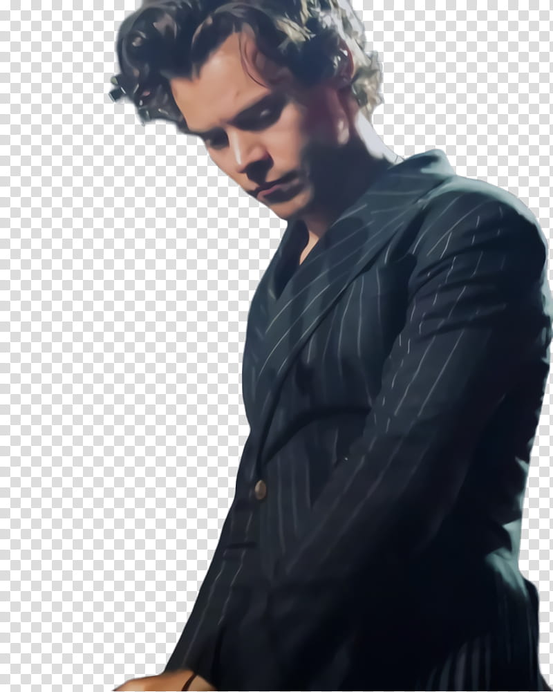 Hair, Harry Styles, Singer, One Direction, Harry Styles Live On Tour, Kiwi, Model, Boy transparent background PNG clipart