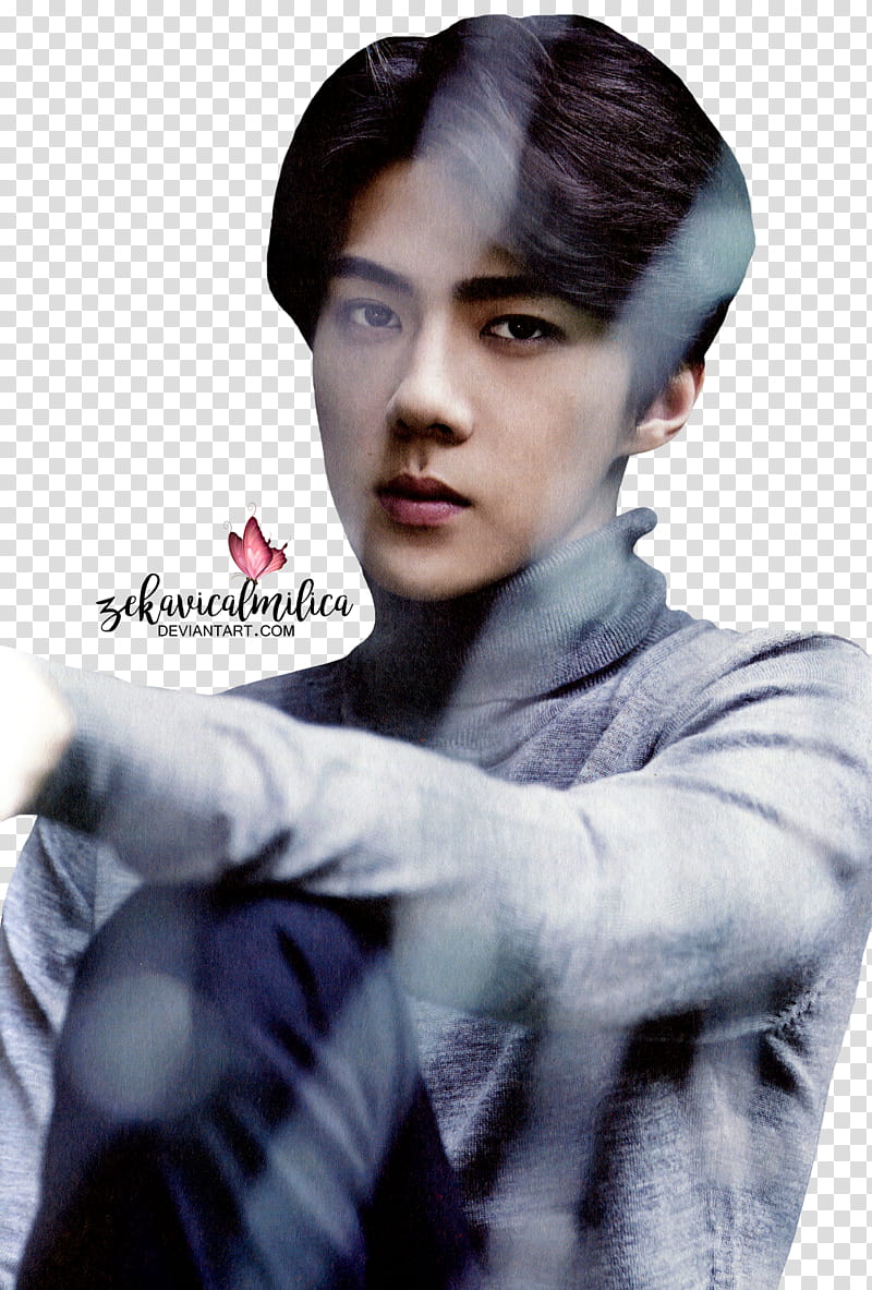 EXO Sehun  Season Greetings, man wearing gray turtleneck shirt transparent background PNG clipart