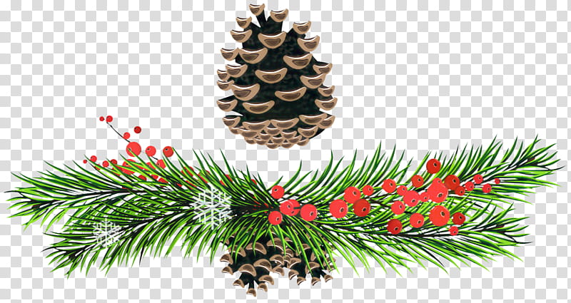 Christmas Black And White, Fir, Christmas Ornament, Spruce, Pine, Christmas Day, Sugar Pine, Columbian Spruce transparent background PNG clipart