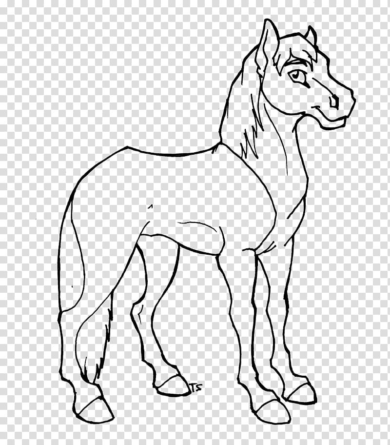 Big Ol O Lineart , horse illustration transparent background PNG clipart