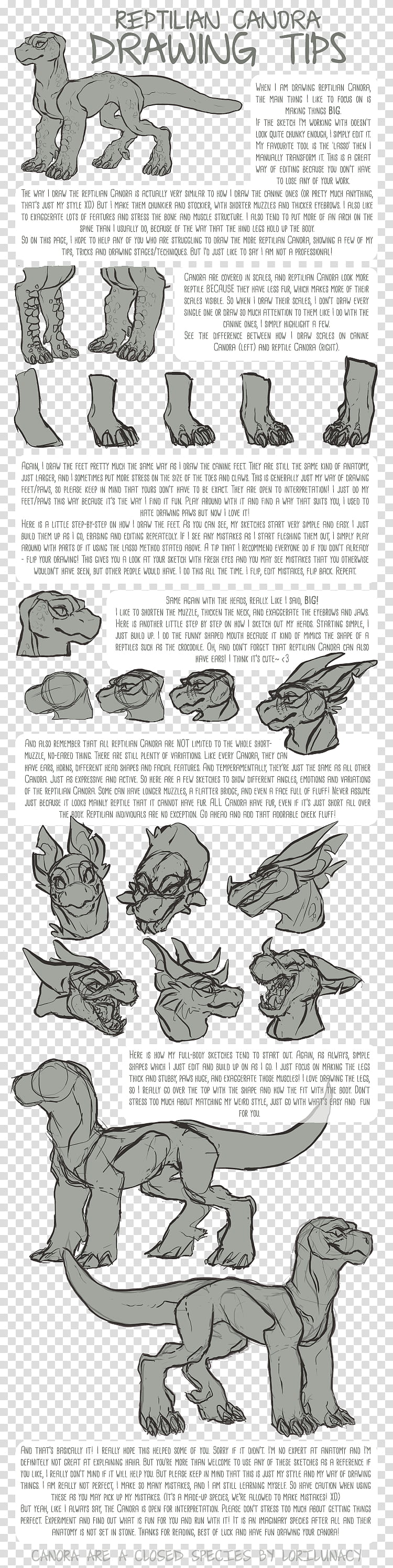The Canora Reptilian Drawing Tips transparent background PNG clipart