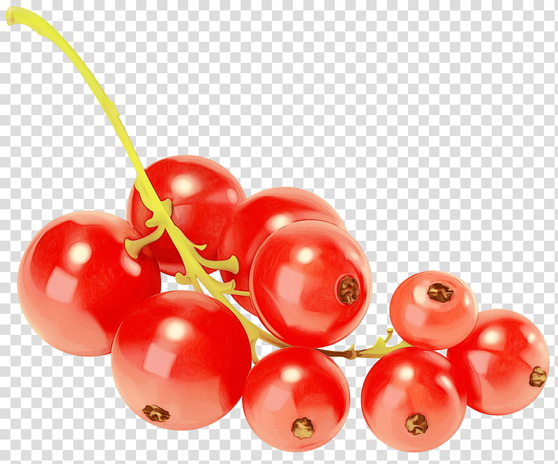 Fruit, Zante Currant, Redcurrant, Blackcurrant, Berries, Food, White Currant, Berry transparent background PNG clipart