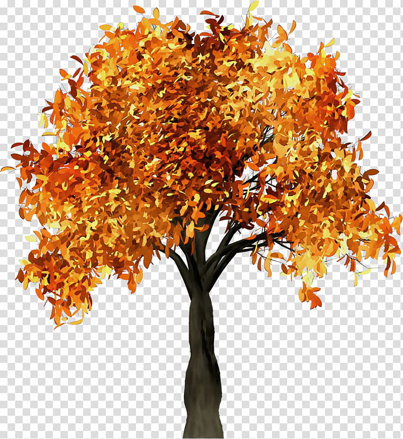 Oak Tree Leaf, Watercolor, Paint, Wet Ink, Branch, Fall Tree, Autumn Leaf Color, Trunk transparent background PNG clipart