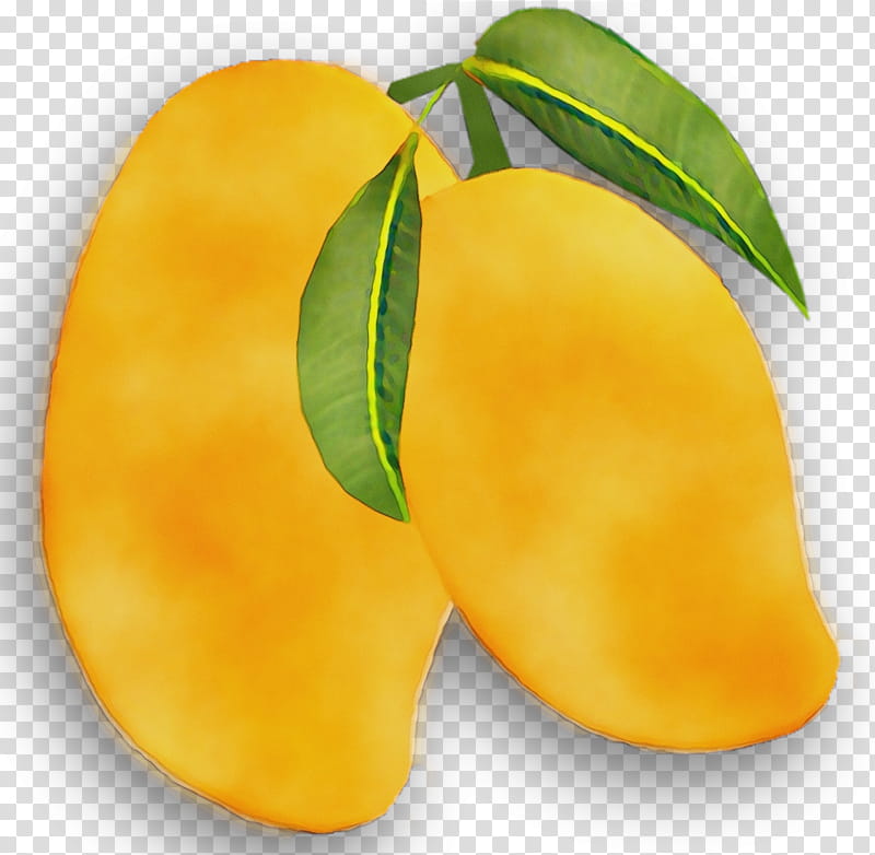Mango Tree, Mangifera Indica, Orange, Citrus, Color, License, Yellow, Fruit transparent background PNG clipart
