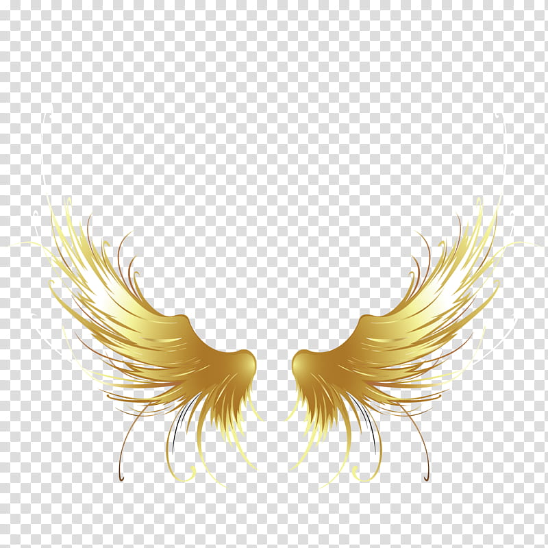 Angel, Logo, Yellow, Wing, Feather, Eyelash, Beak transparent background PNG clipart