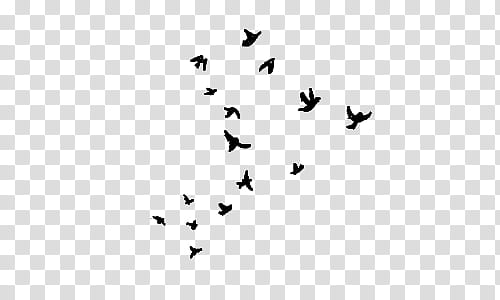 Hipster, flock of bird transparent background PNG clipart