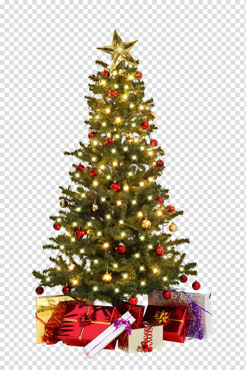 Xmas  Watchers, green Christmas tree with lights transparent background PNG clipart