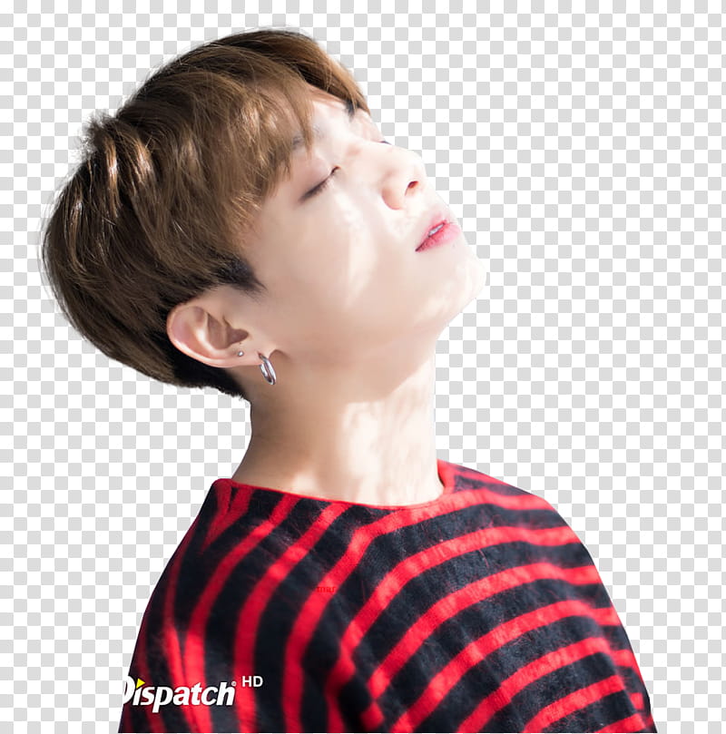 BTS XMAS DISPATCH  transparent background PNG clipart