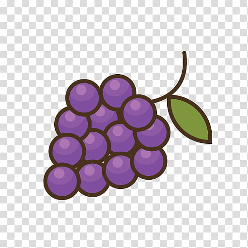 grape grapevine family fruit purple violet, Vitis, Seedless Fruit, Plant, Berry transparent background PNG clipart