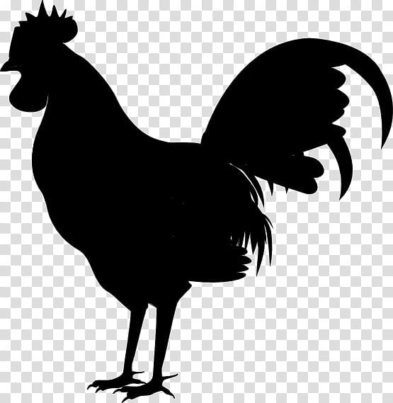 Bird Line Art, Silhouette, Chicken, Rooster, Comb, Beak, Live, Fowl transparent background PNG clipart