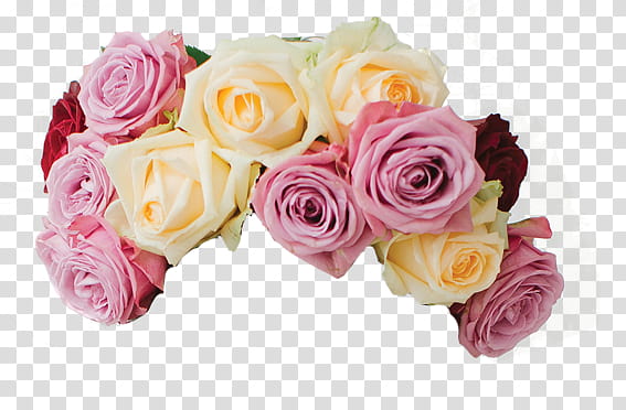 , pink and yellow hybrid tea rose flowers bouquet transparent background PNG clipart
