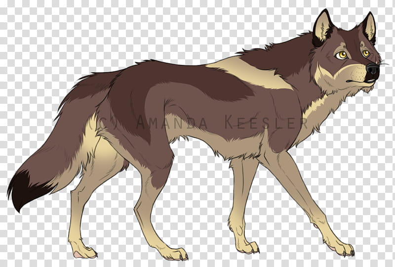 Wolf Drawing, Dog, Cartoon, Jackal, Red Wolf, Demon, Animation