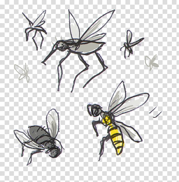 Cartoon Spider, Honey Bee, Insect, Insect Bites And Stings, Mosquito, Lepidoptera, Wasp, Cartoon transparent background PNG clipart