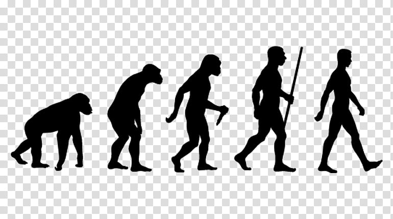 Human evolution Ape Neanderthal, Introduction To Evolution, Evolutionary Biology, Darwinism, Charles Darwin, People, Silhouette, Social Group transparent background PNG clipart