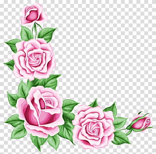 Black Rose Drawing, BORDERS AND FRAMES, Pink Flowers, Romantic Pink Flower, Garden Roses, Cut Flowers, Plant, Rose Family transparent background PNG clipart