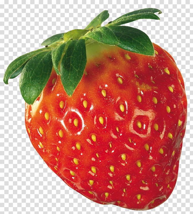 one red strawberry fruit transparent background PNG clipart