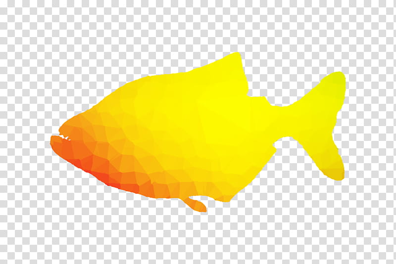 Fish, Biology, Yellow, Goldfish, Butterflyfish, Bonyfish transparent background PNG clipart