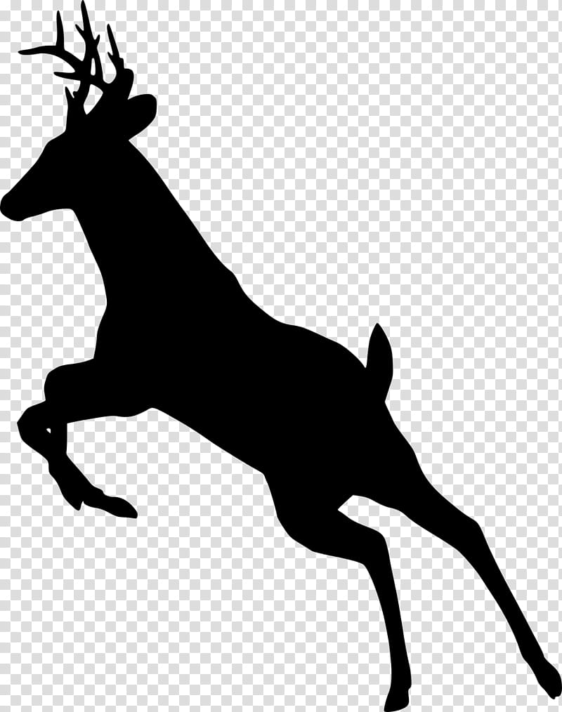 Reindeer, Silhouette, Wildlife, Tail, Chamois, Animal Figure transparent background PNG clipart