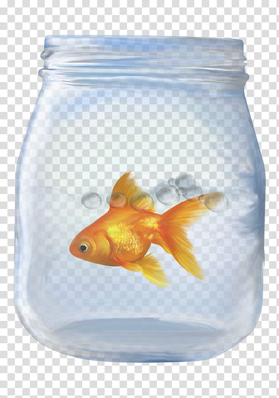 Water, Goldfish, Cartoon, Feeder Fish, Glass Bottle, Resource, Bonyfish, Rayfinned Fish transparent background PNG clipart
