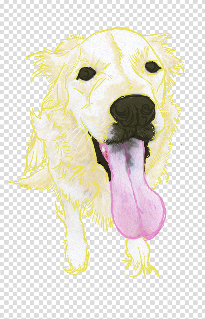Crazy Dawg transparent background PNG clipart