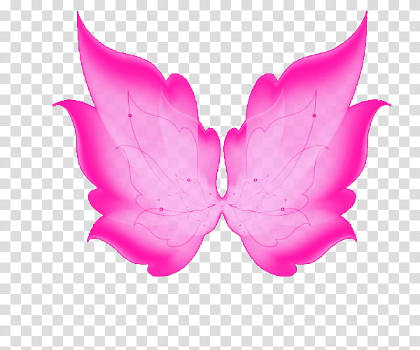 alas, pink wings illustration transparent background PNG clipart
