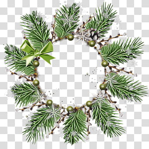 Christmas decoration, Shortleaf Black Spruce, Balsam Fir, Yellow Fir, Colorado Spruce, White Pine, Oregon Pine, Canadian Fir transparent background PNG clipart thumbnail