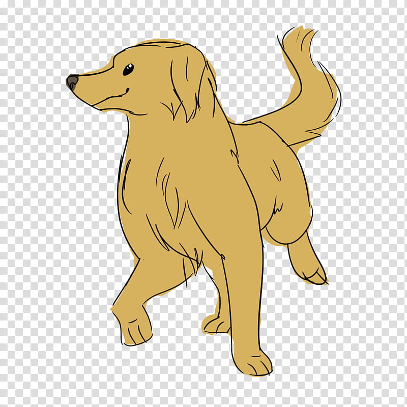 Golden Retriever, Nova Scotia Duck Tolling Retriever, Puppy, Sporting Group, Cartoon, Breed, Dog, Yellow transparent background PNG clipart